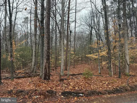 Wooded Lot Near Routes 15/29