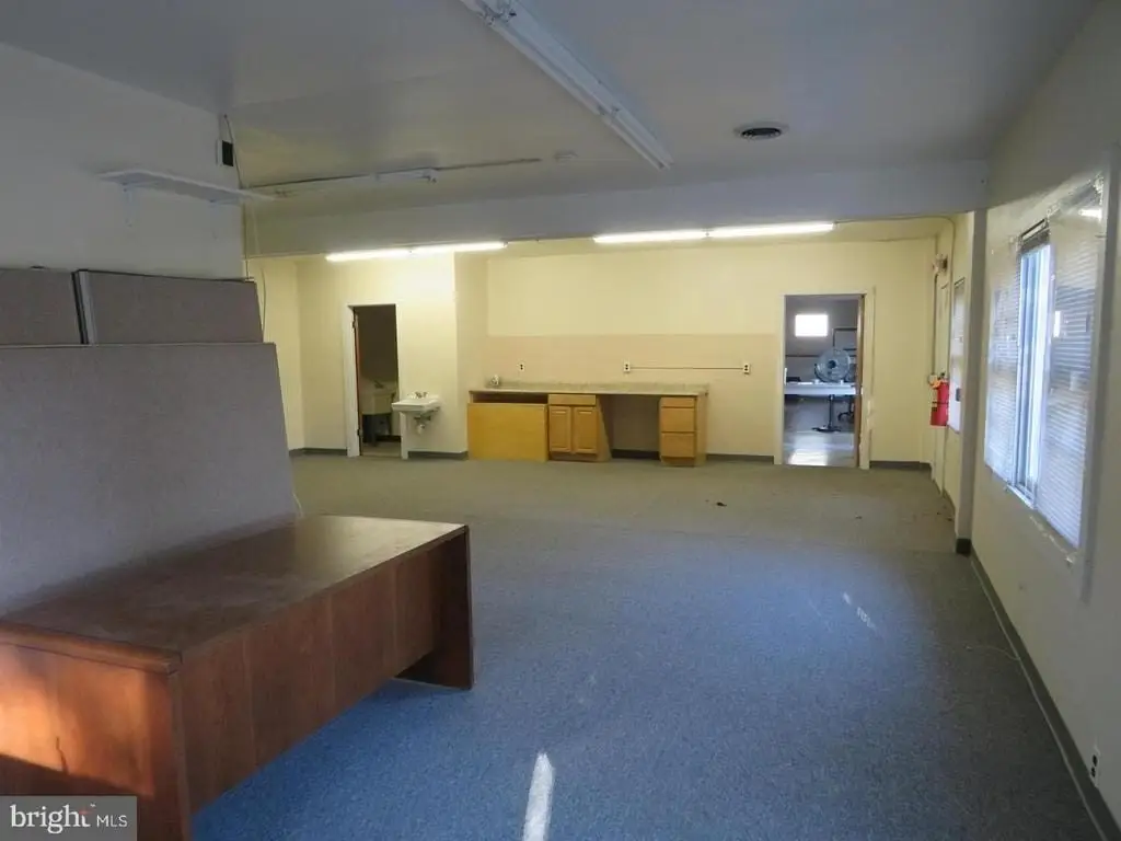Picture 15