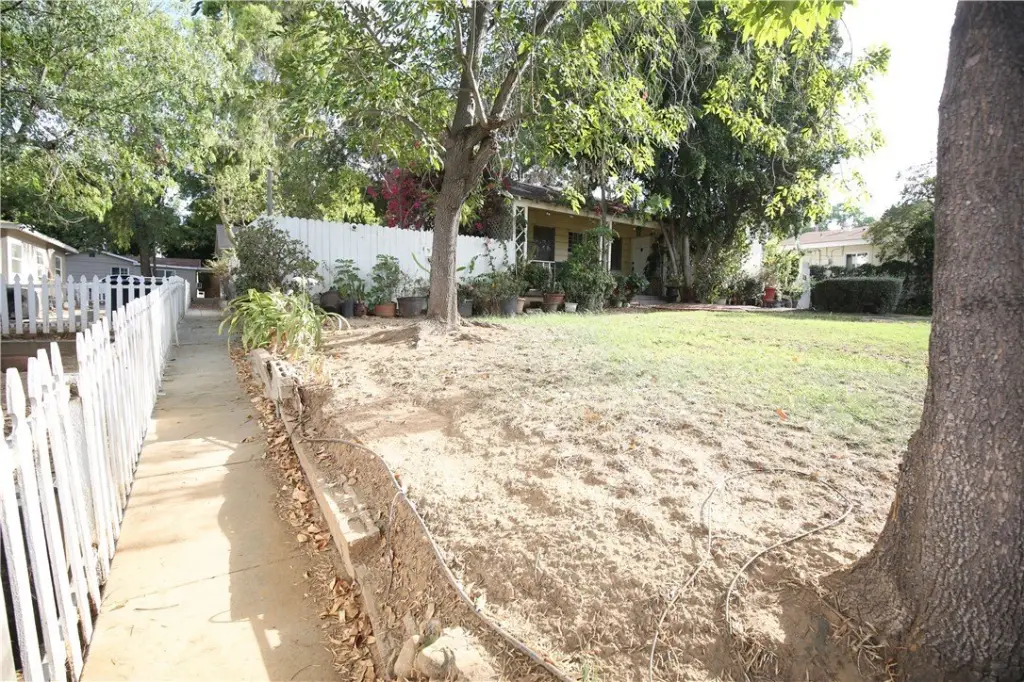 Picture 16