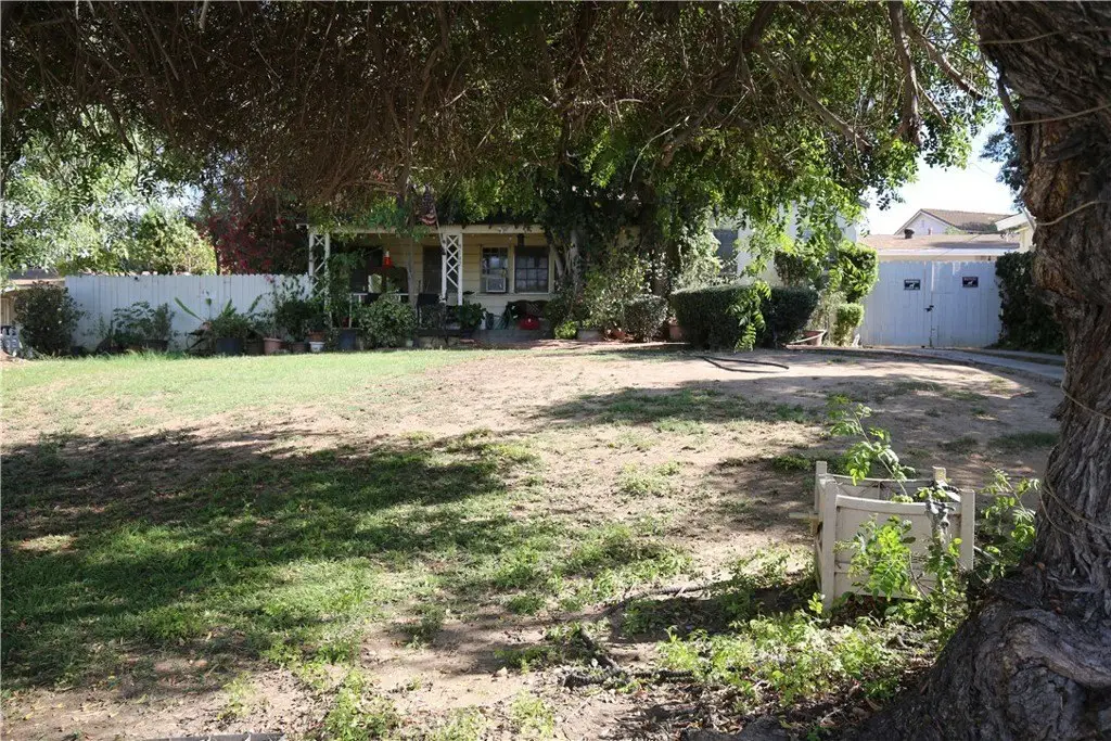 Picture 19