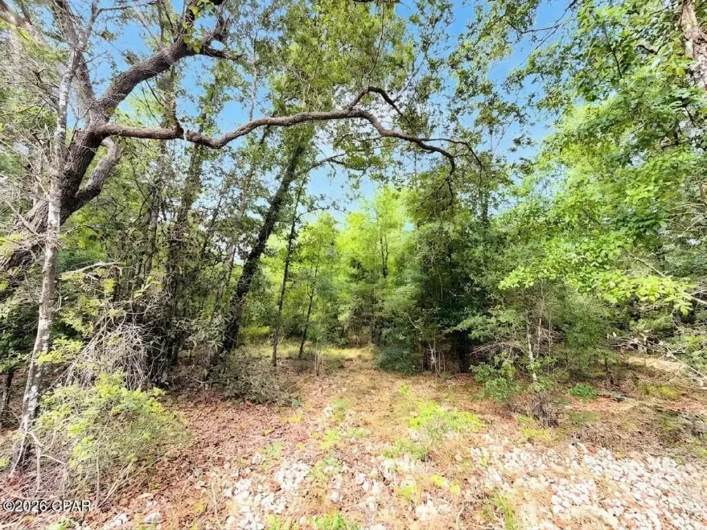 Picture 13