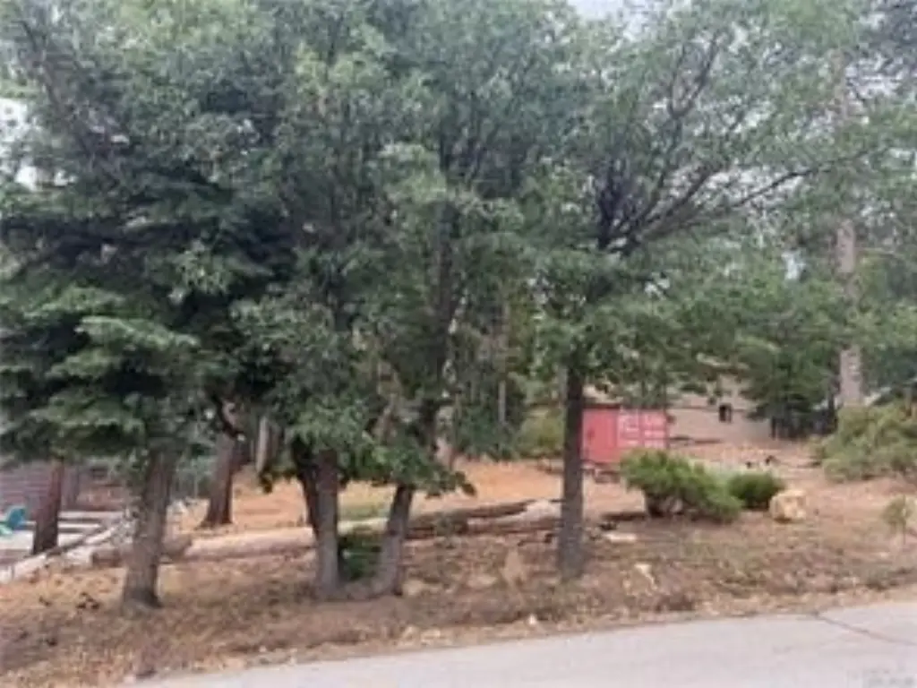 Picture 4