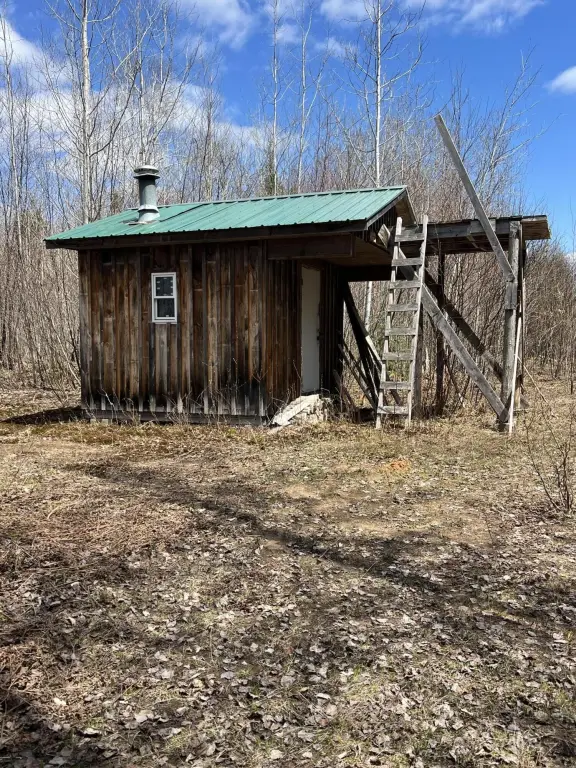 Picture 8