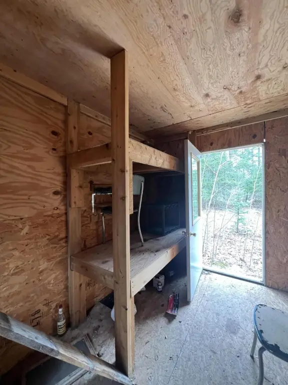Picture 13