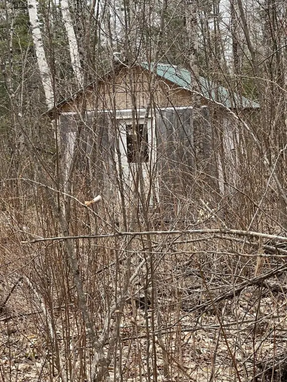 Picture 19
