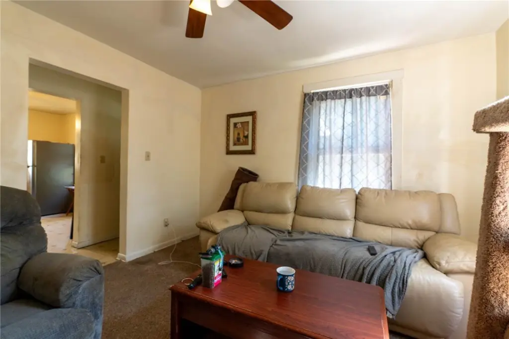 Picture 5