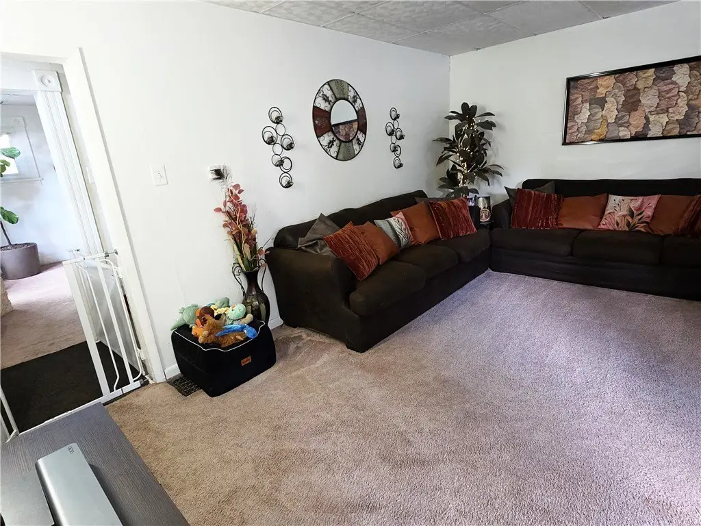 Picture 3