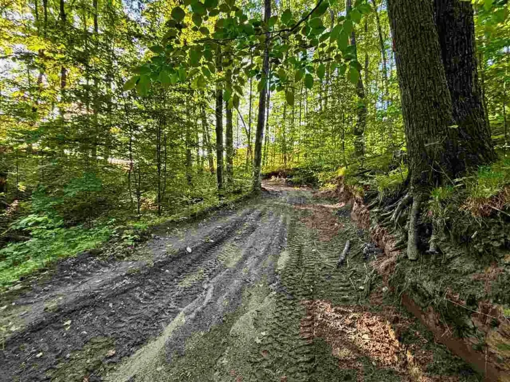 Picture 28