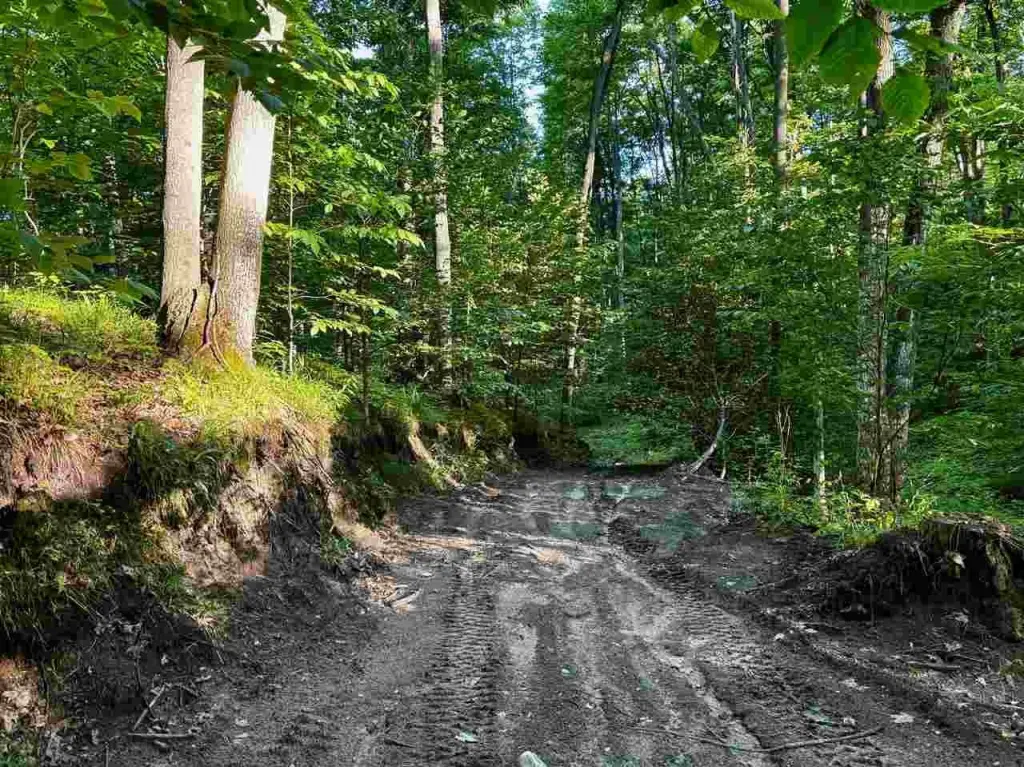 Picture 25