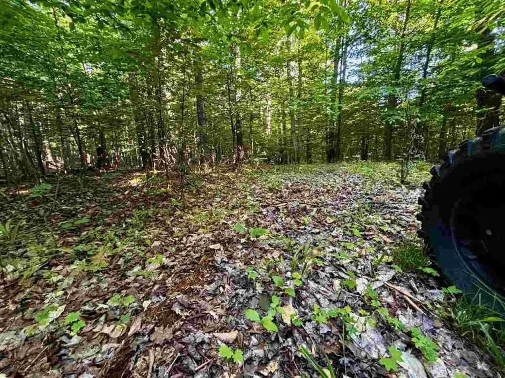 Picture 14