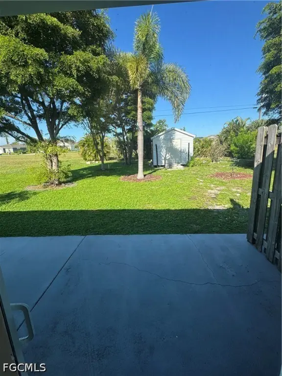Picture 15