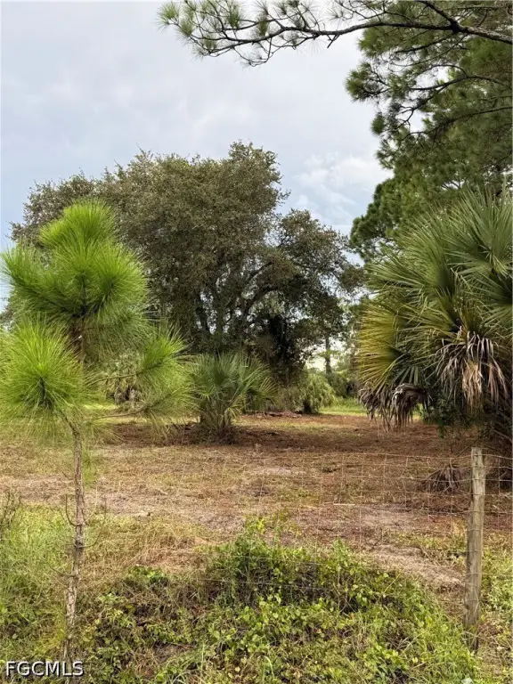Picture 20