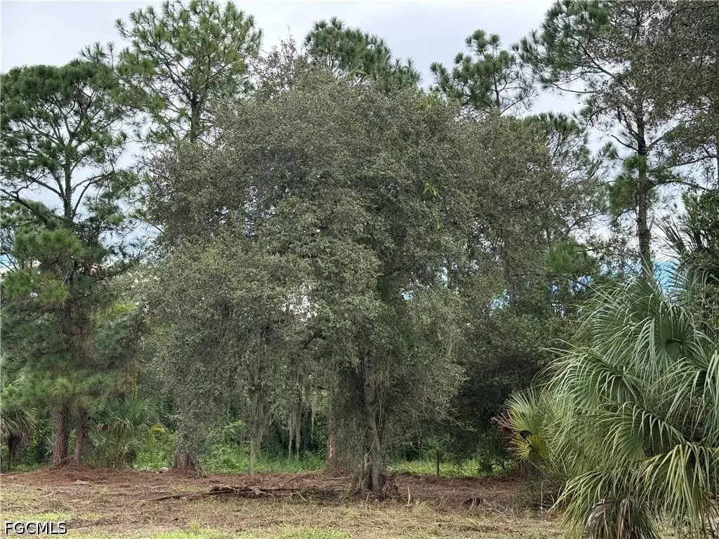 Picture 15