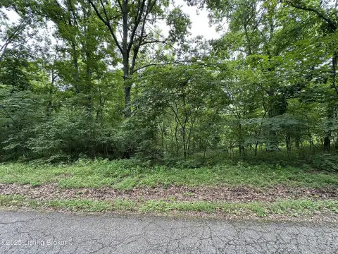 Wooded Lot Near Taylorsville Lake