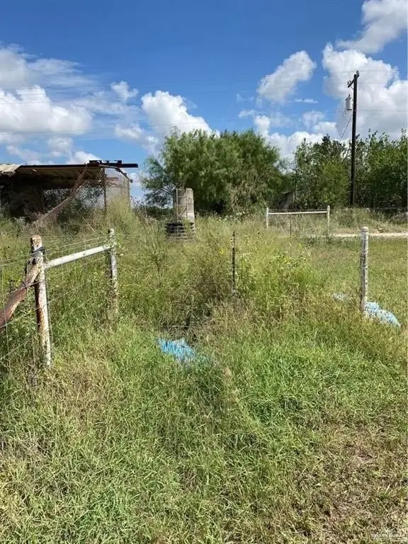 Picture 16