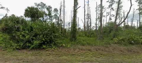 Residential Lot in Lehigh Acres