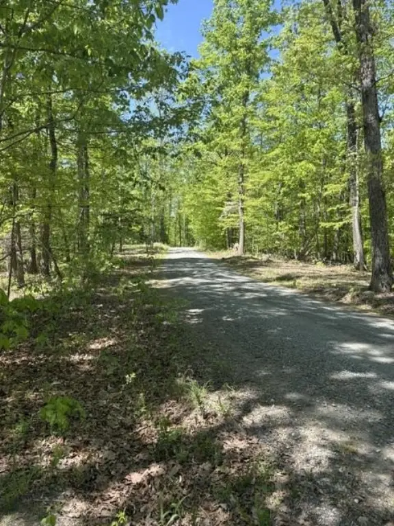 Picture 2