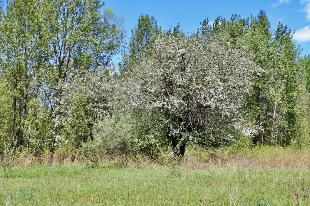 Picture 38