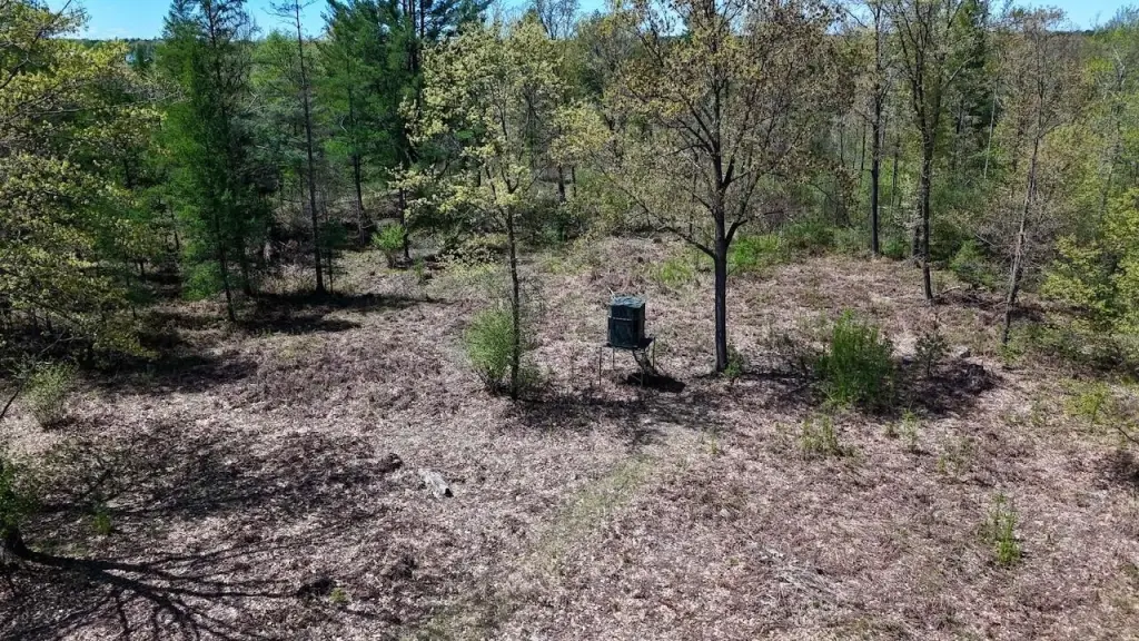 Picture 12