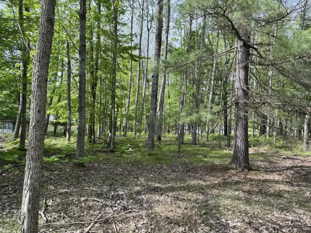 Picture 2