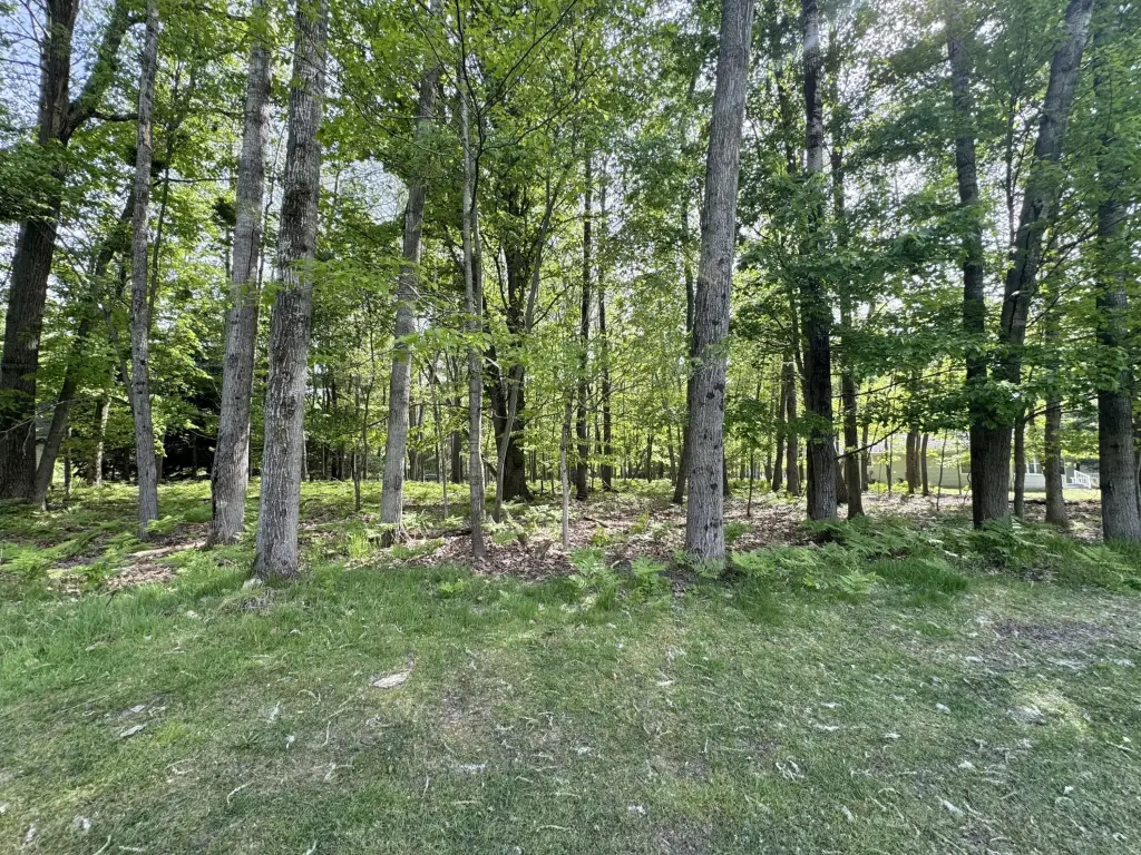 Picture 3