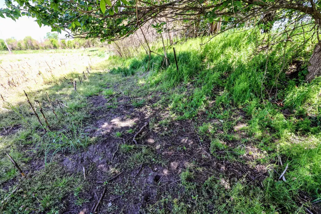Picture 29