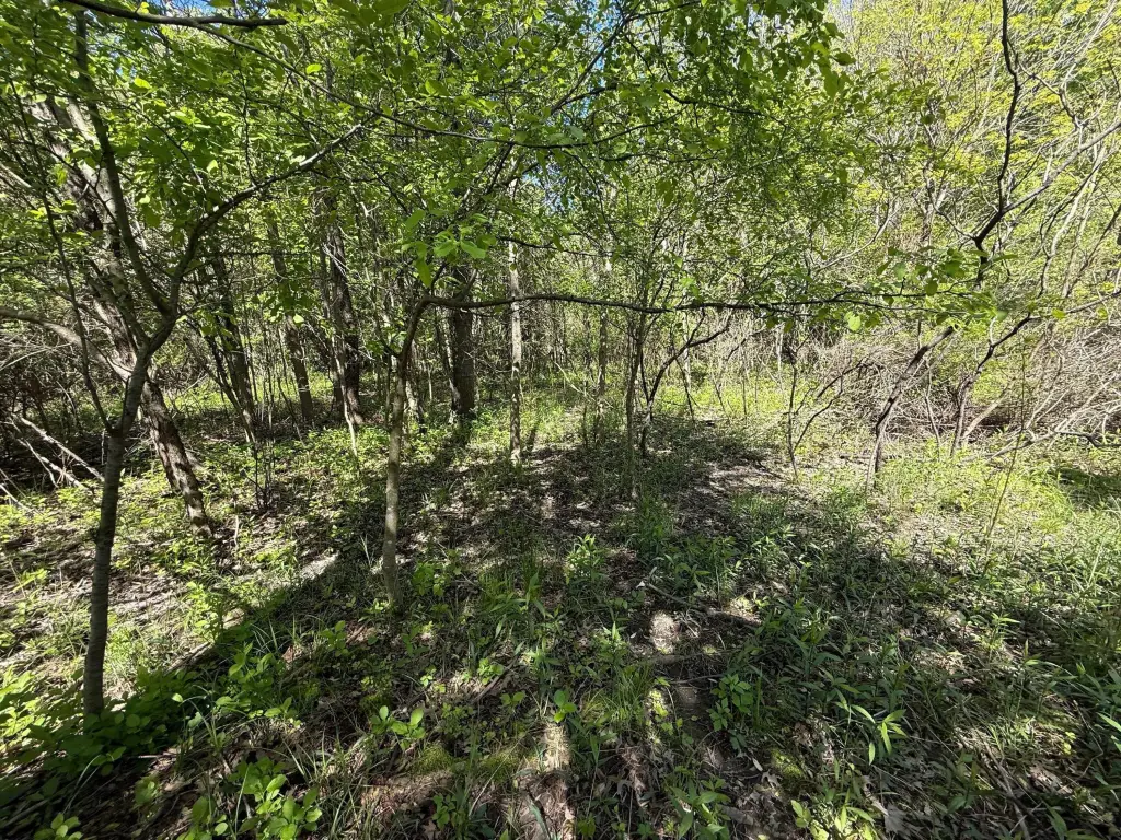 Picture 25