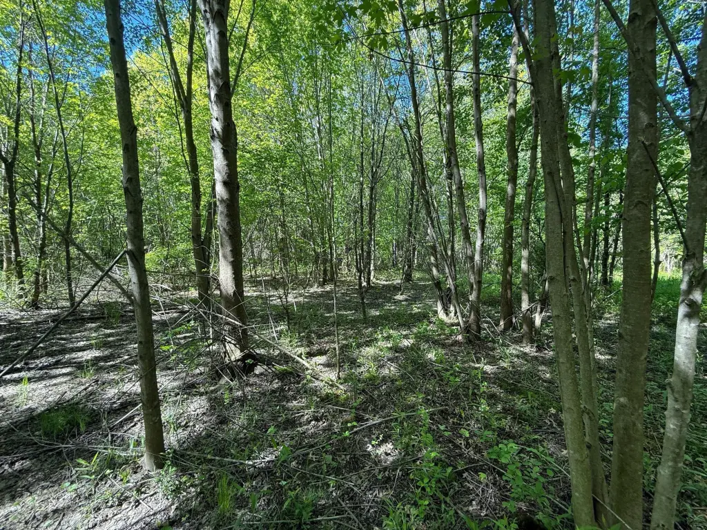 Picture 23