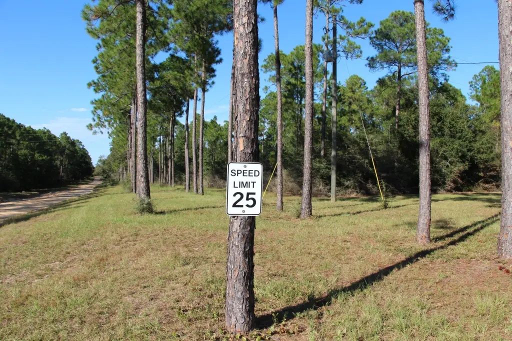 Picture 24