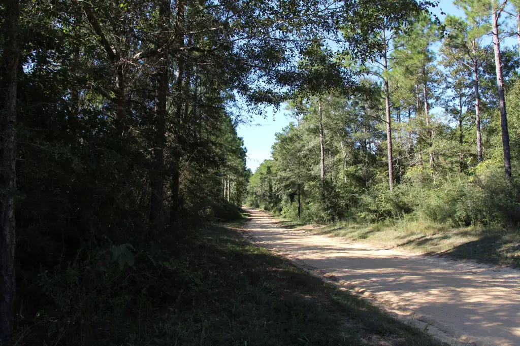 Picture 10