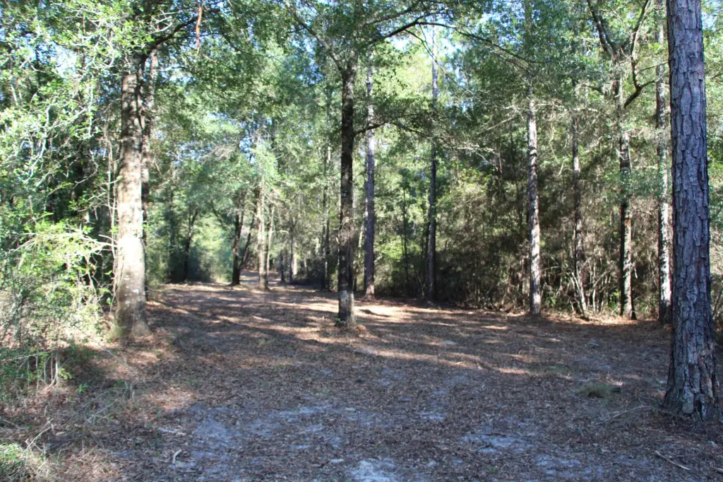 Picture 9