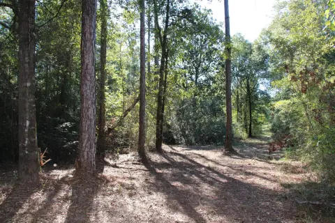 Recreation Land with Trails