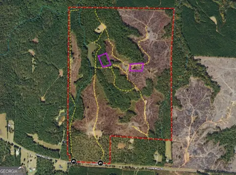 Unique Land Tract in Forsyth