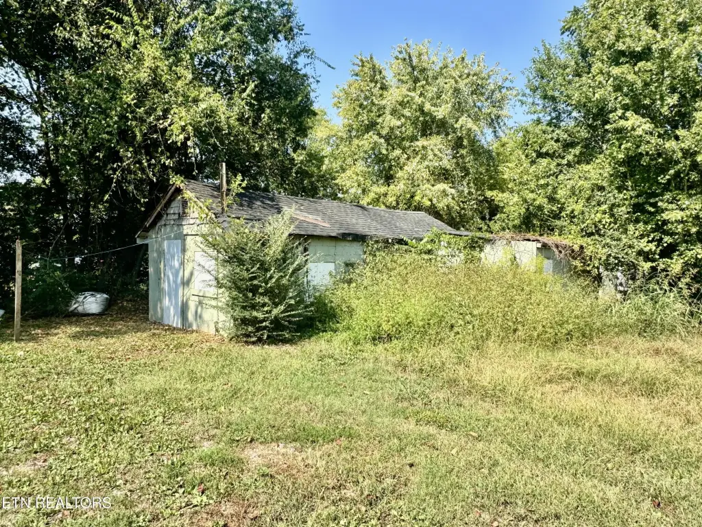 Picture 20