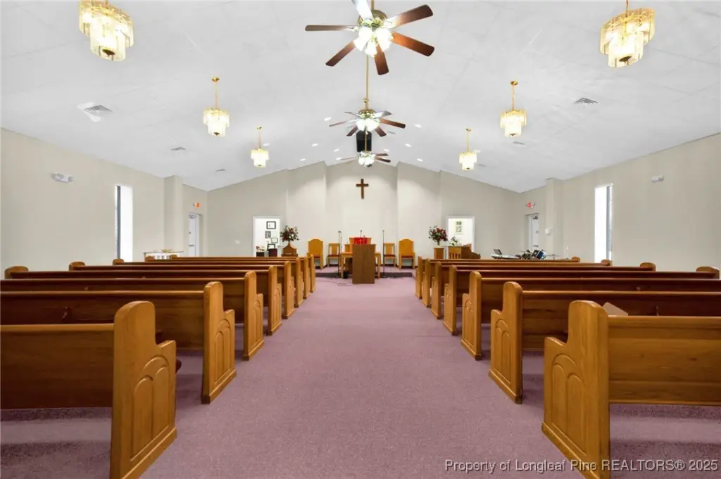Picture 7