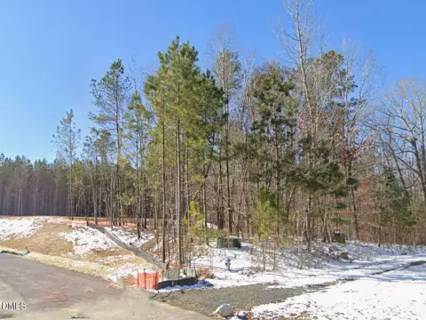 Wooded Lot in Mangum Farms