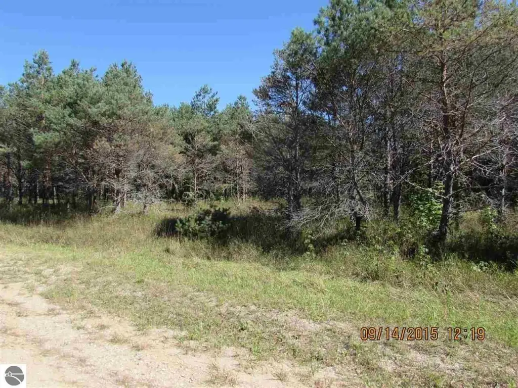 Picture 6