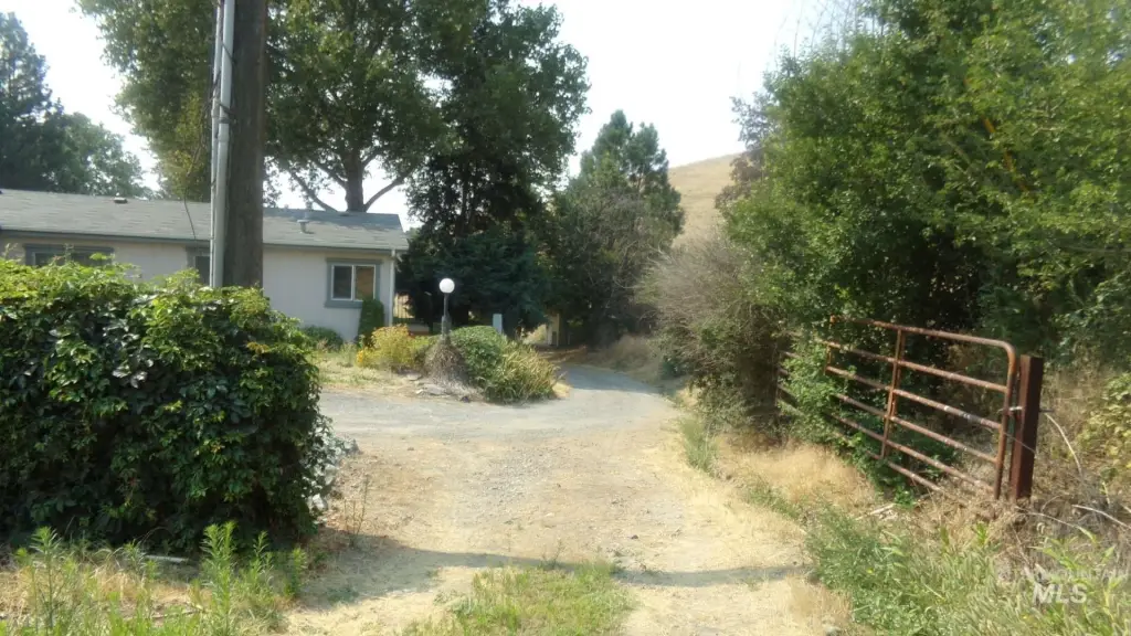 Picture 21