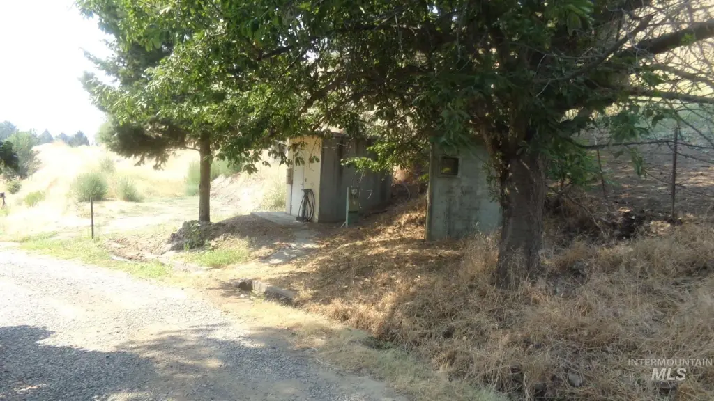 Picture 22