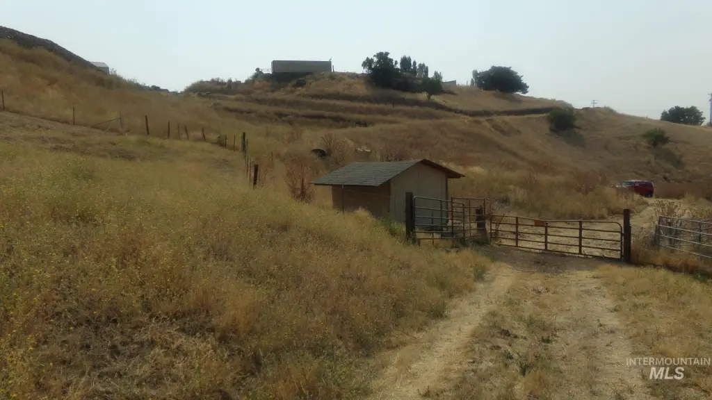 Picture 9