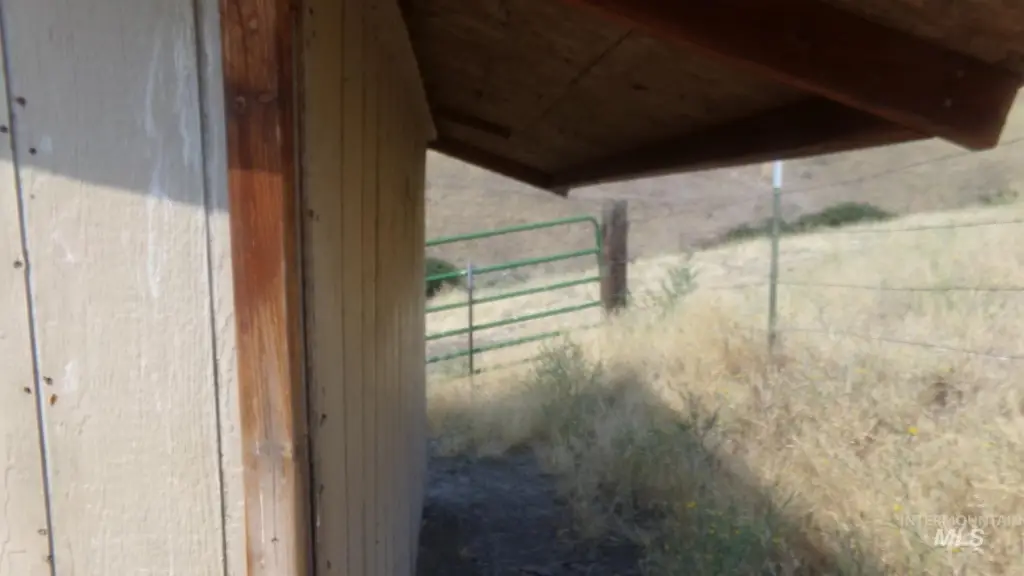 Picture 4