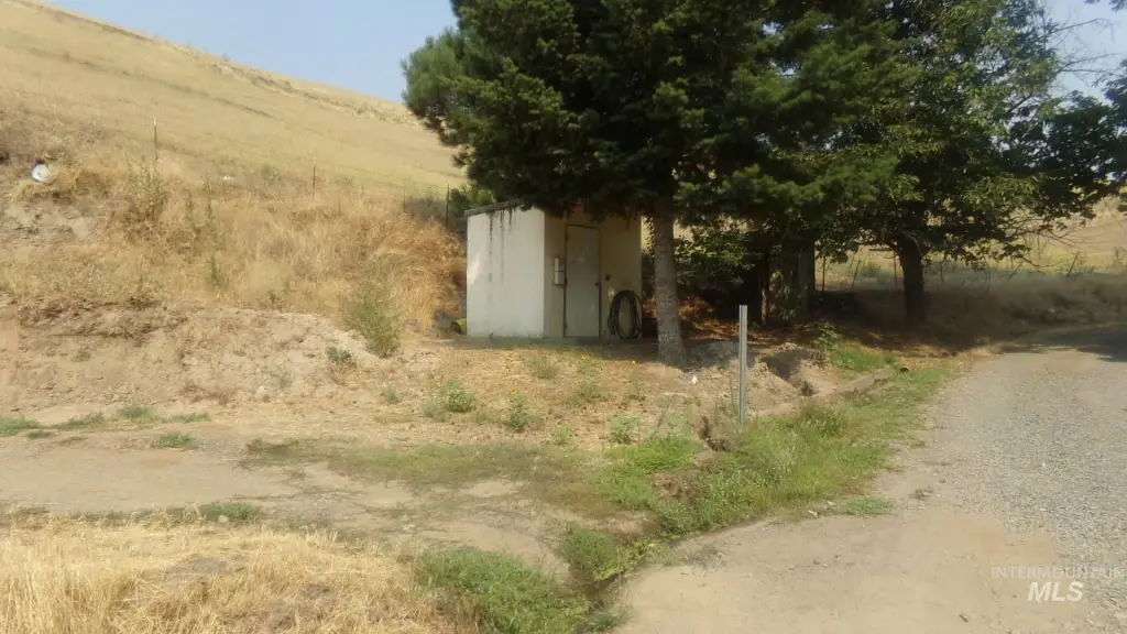 Picture 5