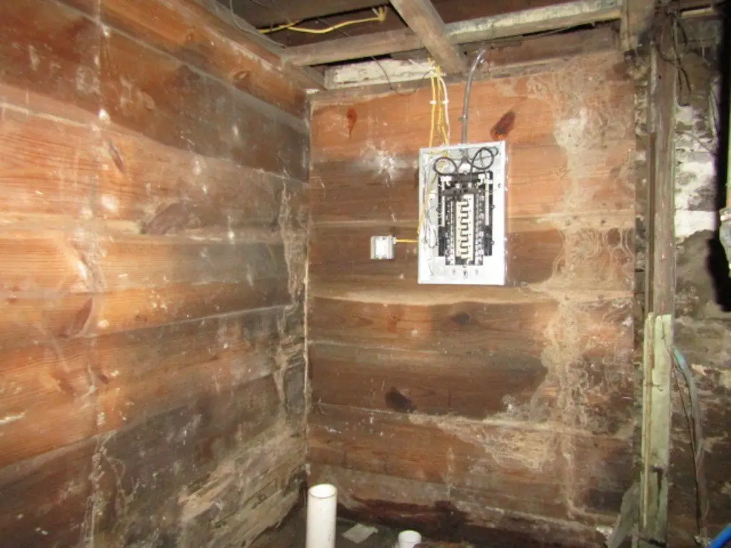 Picture 19