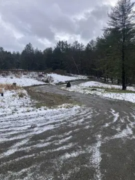 Private Wooded Land Near Town