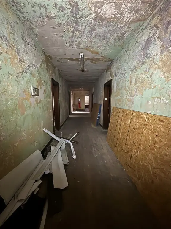 Picture 17