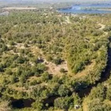 95 Acres Residential Land Sebring