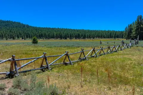 Sierra Valley Acreage with Creek