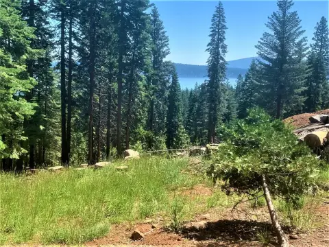 Lake Almanor West Lot