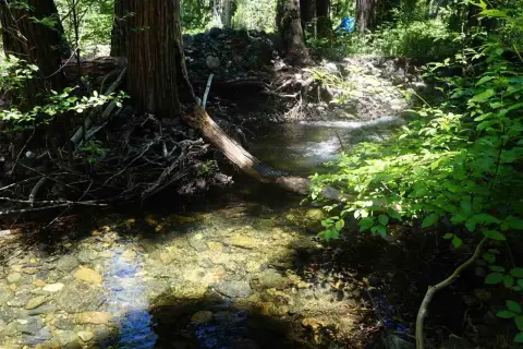 Cromberg Land with Creek Frontage