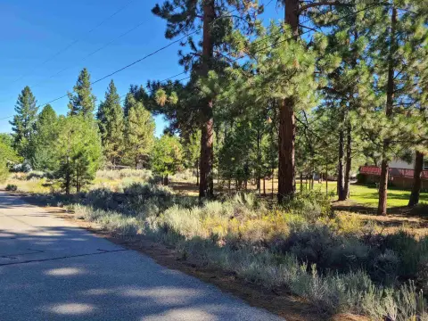 Large Lot in Loyalton, CA